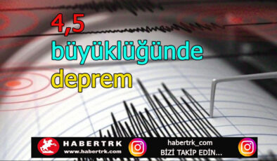 Bitlis’te 4,5 büyüklüğünde deprem